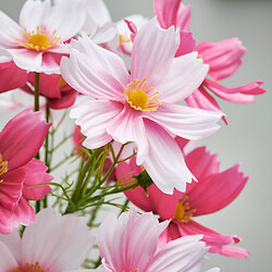 SMYCKA ramo artificial