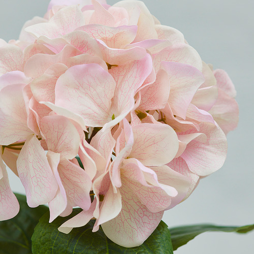 SMYCKA, flor artificial. 2 de 3 open dialog