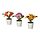 Select colour variation: Primrose mixed colours