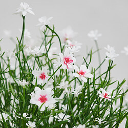 FEJKA planta artificial