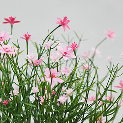 FEJKA planta artificial