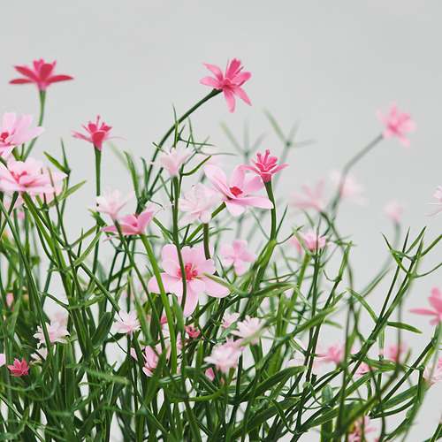 FEJKA, planta artificial. 2 de 3 open dialog