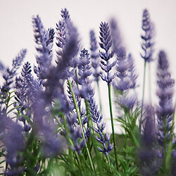 FEJKA artificial potted plant