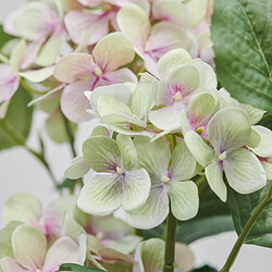 FEJKA planta artificial