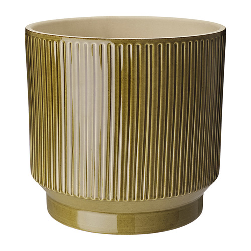 HONUNGSPALM, plant pot 1 of 5 open dialog