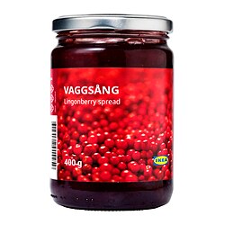 VAGGSÅNG