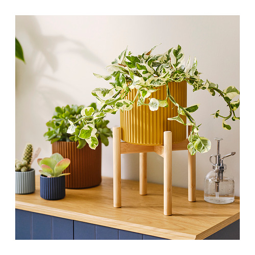 DAKSJUS, plant stand 3 of 6 open dialog