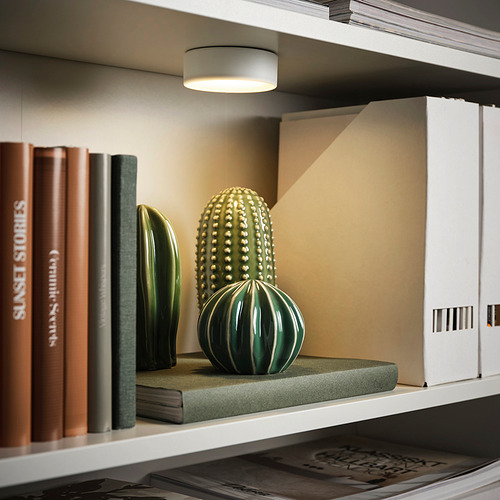 Una estantería iluminada con lámpara KÖLVATTEN que destacan las esculturas de cactus y libros decorativos verdes.