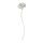 Select colour variation: paper/Rose white, 50 cm