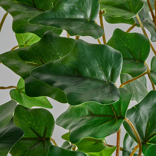 FEJKA, planta artificial. 3 de 3 open dialog