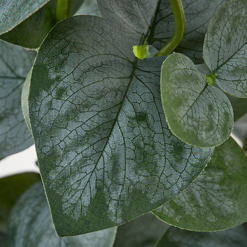 FEJKA, planta artificial. 3 de 3 open dialog