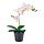 Variación actual: orquídea blanco, Ø9 cm