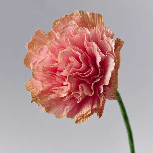 GULDSPETT, artificial flower. 3 of 3 open dialog