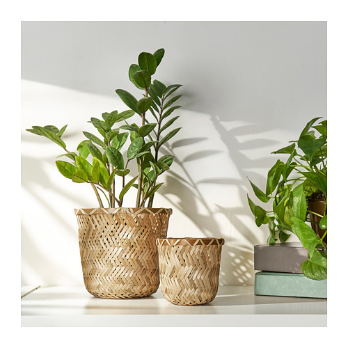 Dos jardineras de mimbre, una más grande que la otra, con plantas verdes exuberantes. Diseño de bambú tejido, colocado en un estante blanco.