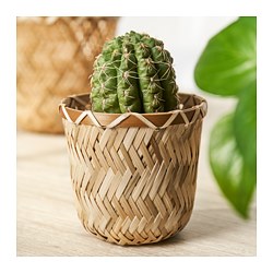 KLYNNON plant pot