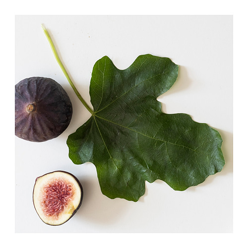 LOTSFÅGEL, scented candle in glass. 5 of 8 open dialog