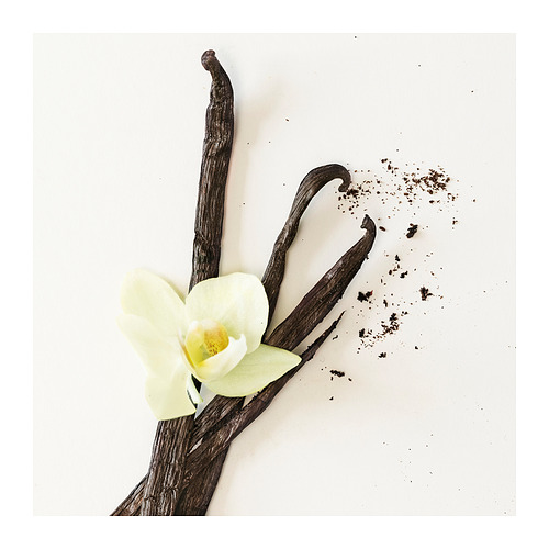 Tres vainas de vainilla, una partida, bandeja blanca con orquídea amarilla, diseño minimalista.