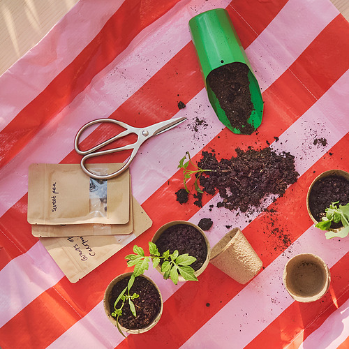 BRYTBÖNA, tijeras. 2 de 3 open dialog