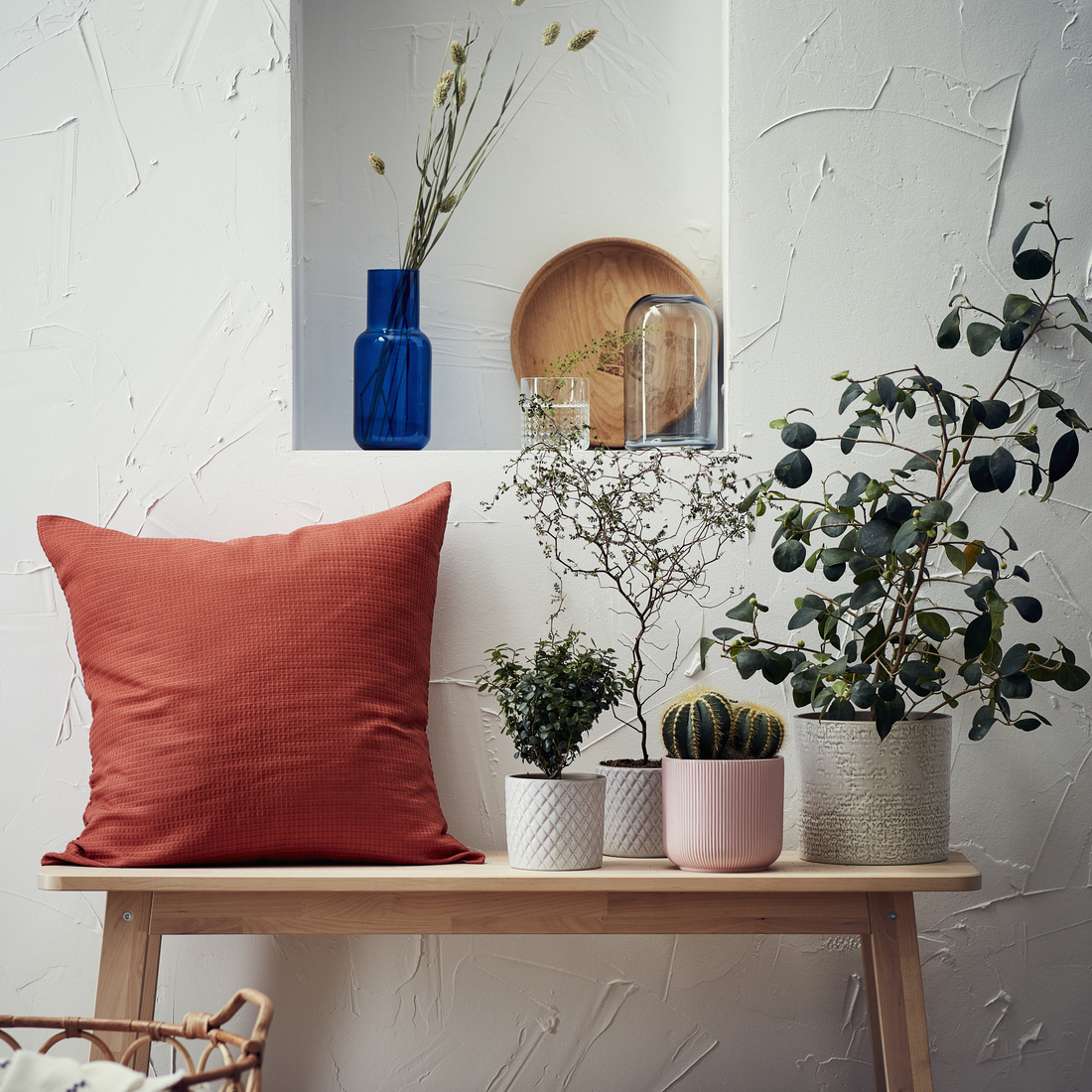 GRADVIS, plant pot. 4 of 5 open dialog