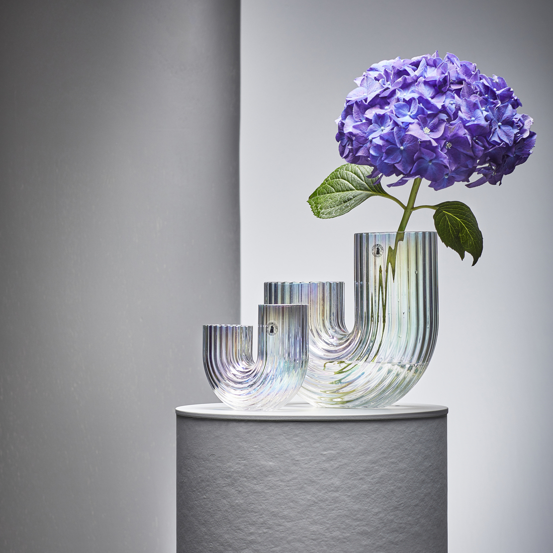 RÄFFELBJÖRK, florero / jarrón. 10 de 10 open dialog