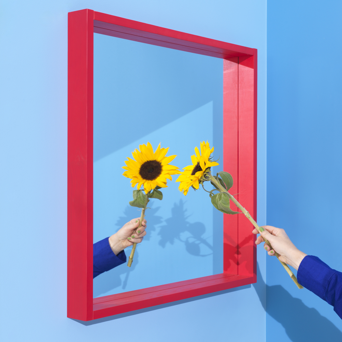 TURBOKASTANJ, espejo. 2 de 5 open dialog