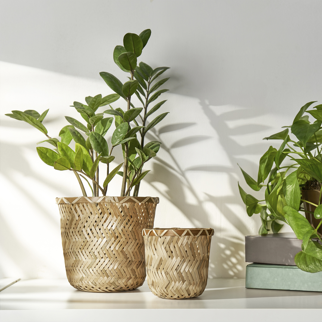 KLYNNON, plant pot. 6 of 8 open dialog