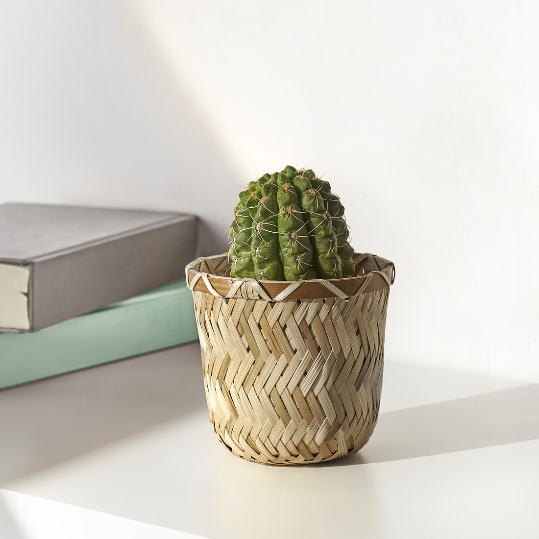 KLYNNON, plant pot. 8 of 8 open dialog