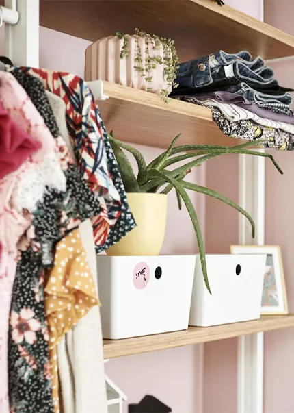 Ordenar eriacta en línea