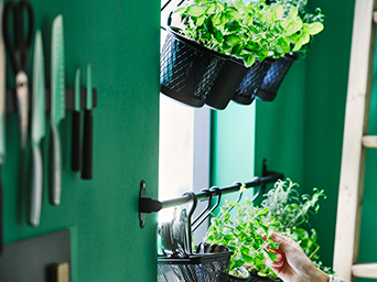 Plants in hanging black mesh pots against a green wall. A magnetic knife rack with knives on the left.