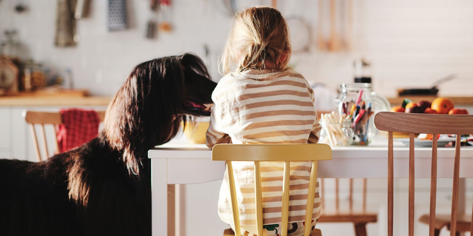 A four-year old sits at the table on an AGAM junior chair. To his left a large Afghan dog looks over the table.