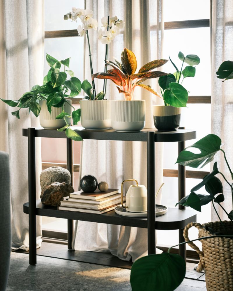 Rincón luminoso con GRADVIS y TÖRNBÄR macetas, OLIVBLAD pedestal, VATTENKRASSE regadera y DYTÅG cortinas.