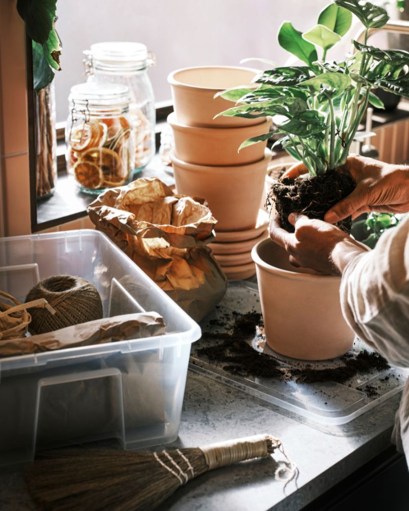 Jardín, natural y activo con maceta MUSKOTBLOMMA, caja SAMLA y botes KORKEN.
