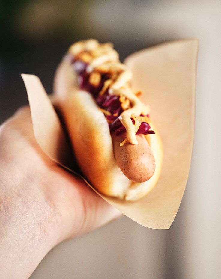 A close up of a hand holding a single hot dog in a paper sleeve, topped with red cabbage and crispy fried onions, drizzled with mustard. 