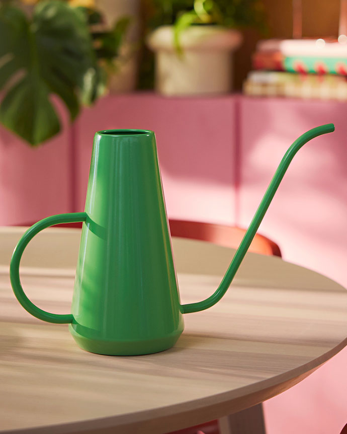 Una regadera de metal verde con boquilla delgada y asa curva reposa sobre una mesa de madera clara en una habitación iluminada.