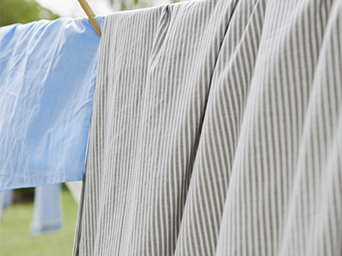 Freshly washed clothes hanging on a clothesline outdoors on a sunny day.