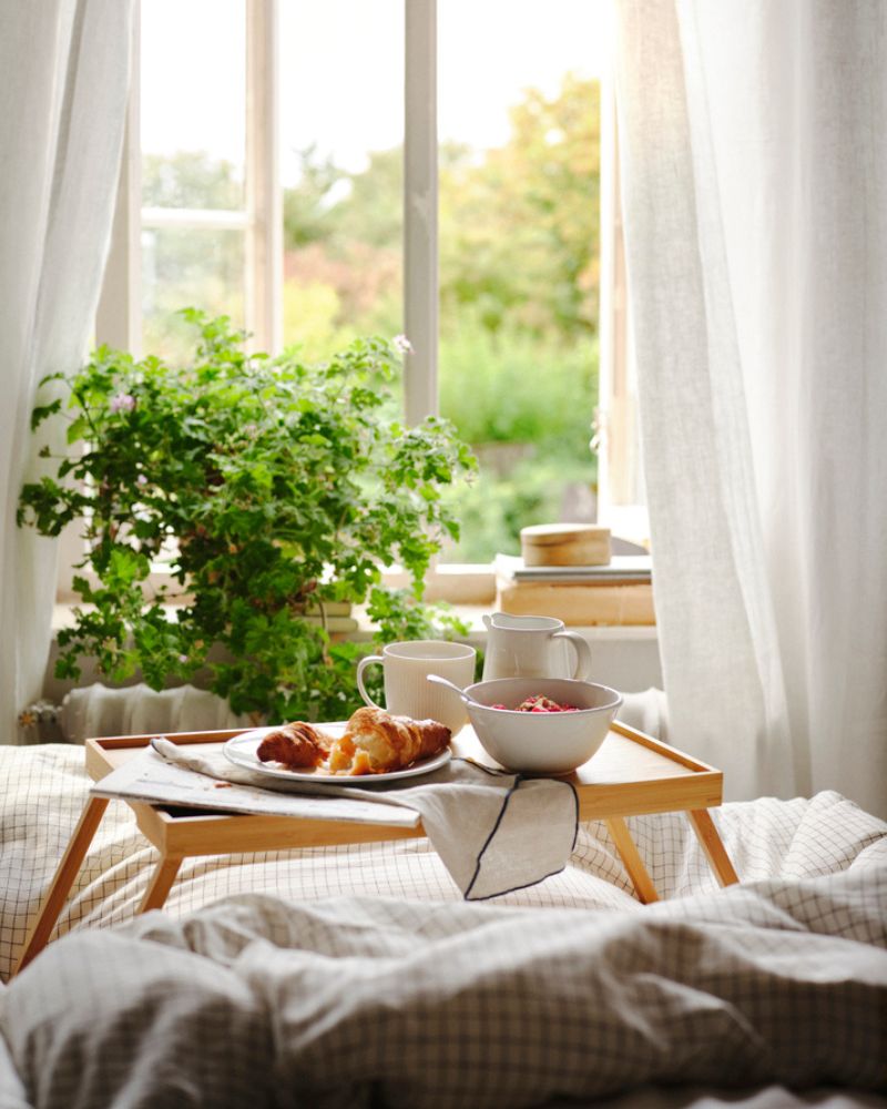 Bandeja de desayuno sobre la cama con café, croissants y mermelada, junto a una ventana luminosa con plantas.