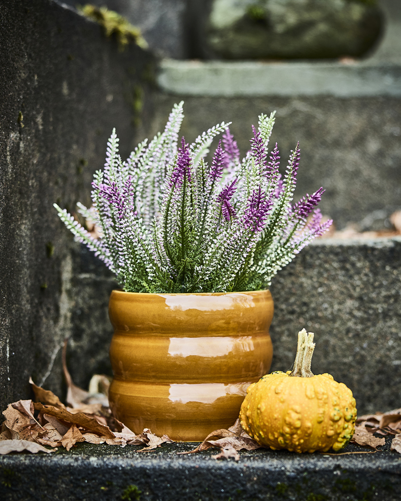 Una planta artificial en maceta de color lila de la colección FEJKA descansa en una escalera exterior junto a una pequeña calabaza amarilla y hojas secas.