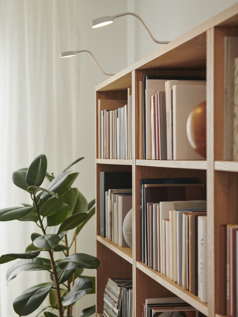 Estantería de madera clara llena de libros, iluminada por dos lámparas de brazo flexible. Una planta verde aporta frescura al rincón de lectura.